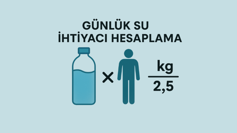 Günlük Su İhtiyacı Hesaplama