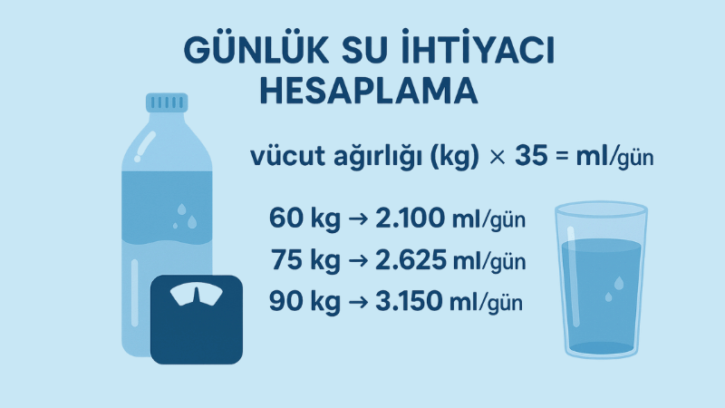 Günlük Su İhtiyacı Hesaplama