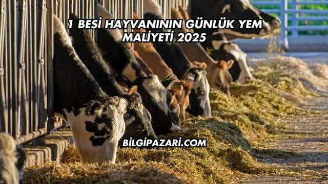 1 Besi Hayvanının Günlük Yem Maliyeti 2025