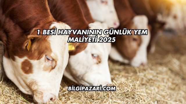 1 Besi Hayvanının Günlük Yem Maliyeti 2025