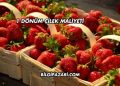 1 Dönüm Çilek Maliyeti