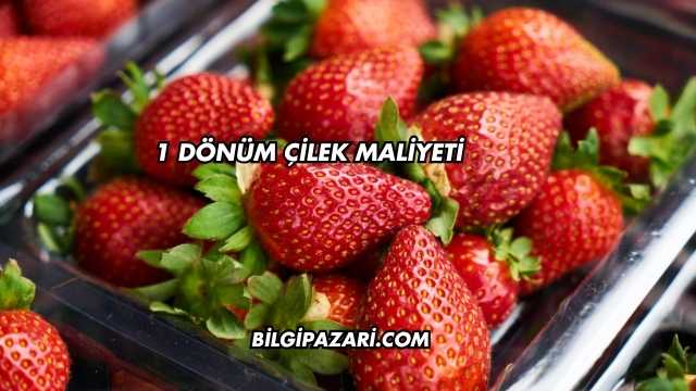 1 Dönüm Çilek Maliyeti