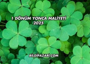 1 Dönüm Yonca Maliyeti 2025