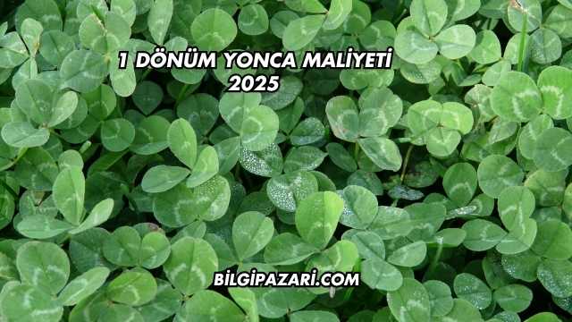 1 Dönüm Yonca Maliyeti 2025