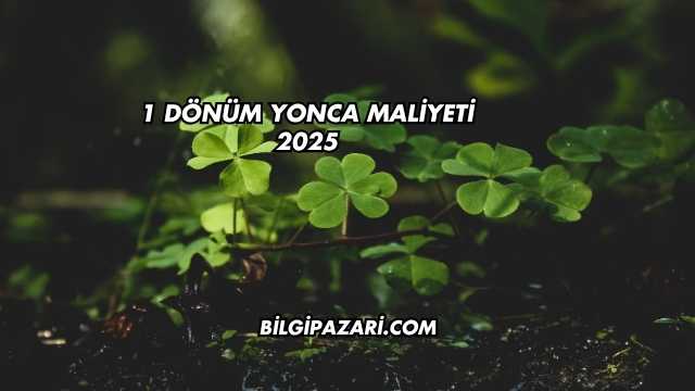 1 Dönüm Yonca Maliyeti 2025