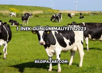 1 İnek Günlük Maliyeti 2025