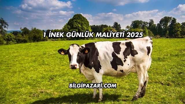 1 İnek Günlük Maliyeti 2025