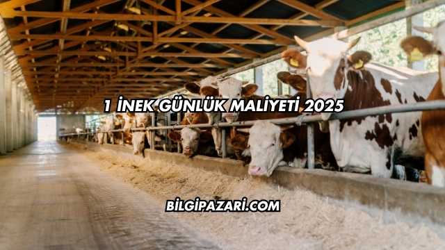 1 İnek Günlük Maliyeti 2025