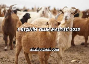 1 Keçinin Yıllık Maliyeti 2025