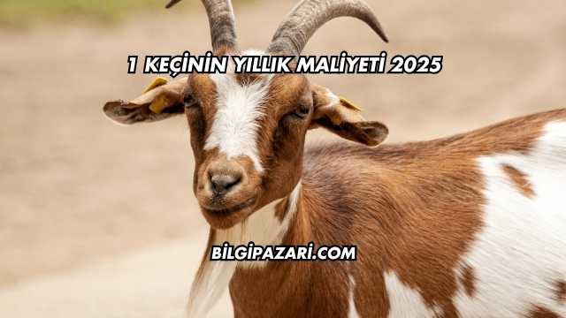1 Keçinin Yıllık Maliyeti 2025