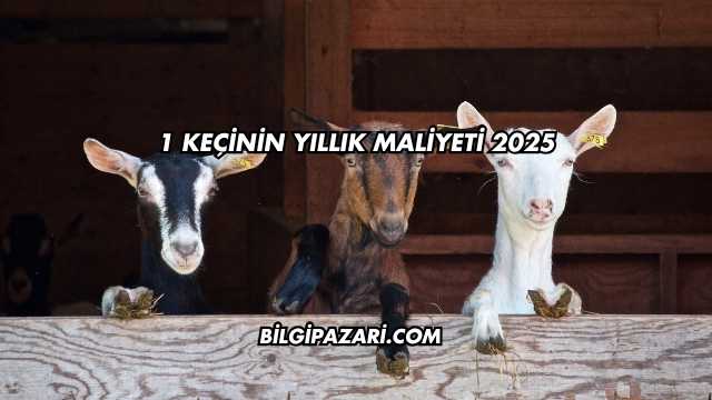 1 Keçinin Yıllık Maliyeti 2025