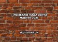 1 Metrekare Tuğla Duvar Maliyeti 2025