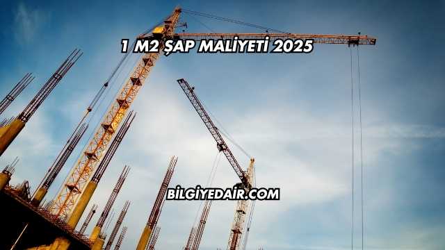 1 m2 Şap Maliyeti 2025