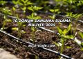10 Dönüm Damlama Sulama Maliyeti 2025