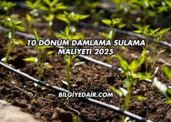 10 Dönüm Damlama Sulama Maliyeti 2025