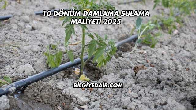 10 Dönüm Damlama Sulama Maliyeti 2025