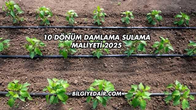 10 Dönüm Damlama Sulama Maliyeti 2025