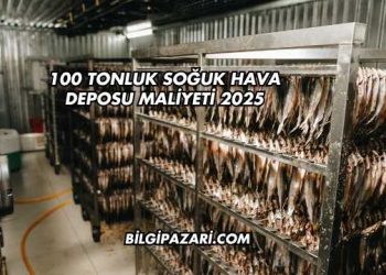 100 Tonluk Soğuk Hava Deposu Maliyeti 2025