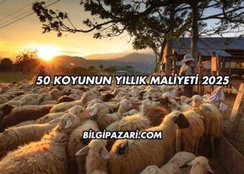 50 Koyunun Yıllık Maliyeti 2025