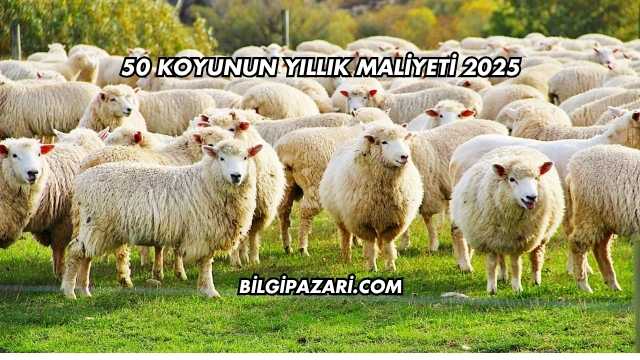 50 Koyunun Yıllık Maliyeti 2025