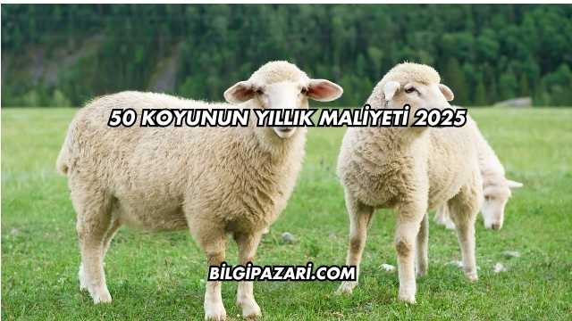 50 Koyunun Yıllık Maliyeti 2025