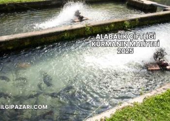 Alabalık Çiftliği Kurmanın Maliyeti 2025