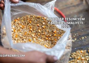 Anahtar Teslim Yem Fabrikası Maliyeti 2025