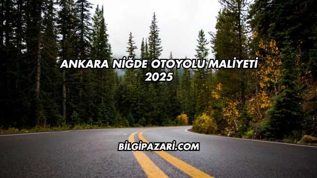 Ankara Niğde Otoyolu Maliyeti 2025