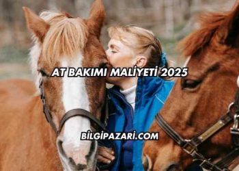 At Bakımı Maliyeti 2025