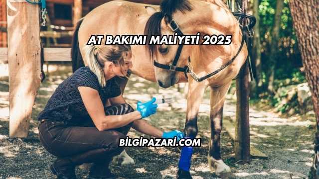 At Bakımı Maliyeti 2025