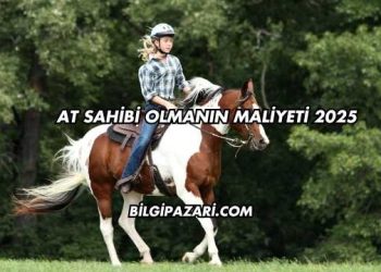 At Sahibi Olmanın Maliyeti 2025