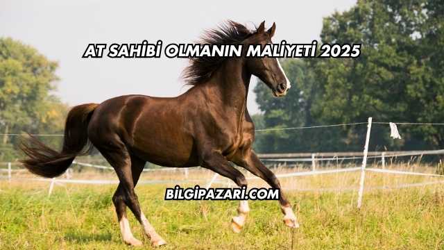 At Sahibi Olmanın Maliyeti 2025