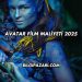 Avatar Film Maliyeti 2025