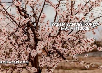 Badem Bahçesi Kurma Maliyeti 2025