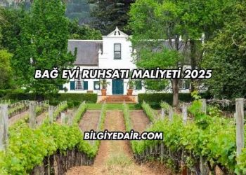 Bağ Evi Ruhsatı Maliyeti 2025