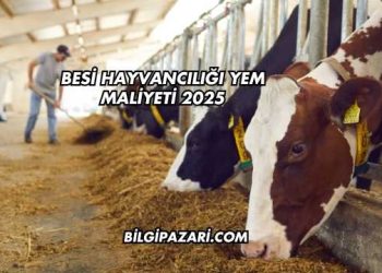 Besi Hayvancılığı Yem Maliyeti 2025