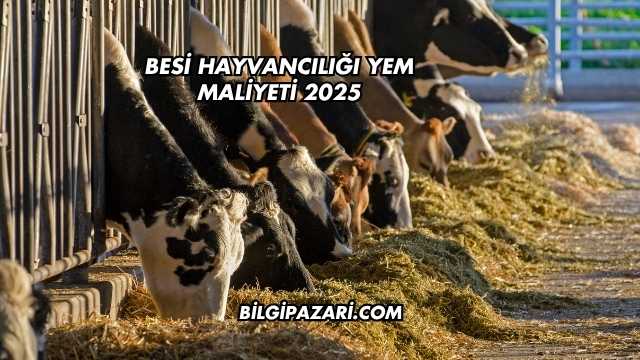 Besi Hayvancılığı Yem Maliyeti 2025