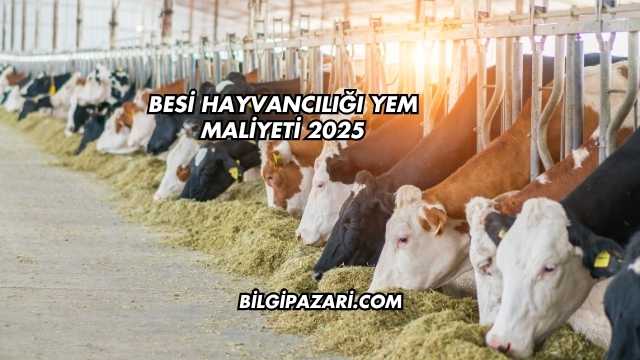 Besi Hayvancılığı Yem Maliyeti 2025