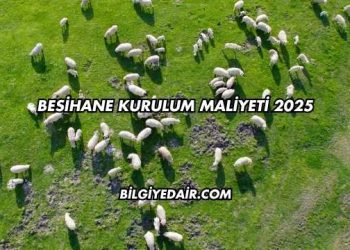 Besihane Kurulum Maliyeti 2025