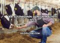 Bir Süt İneğinin Günlük Maliyeti 2025