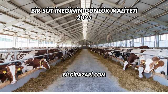 Bir Süt İneğinin Günlük Maliyeti 2025