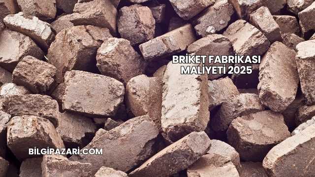 Briket Fabrikası Maliyeti 2025