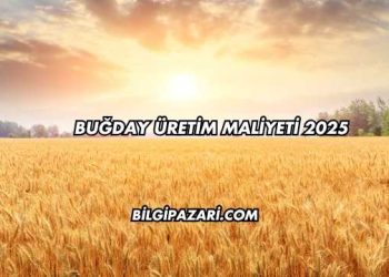 Buğday Üretim Maliyeti 2025