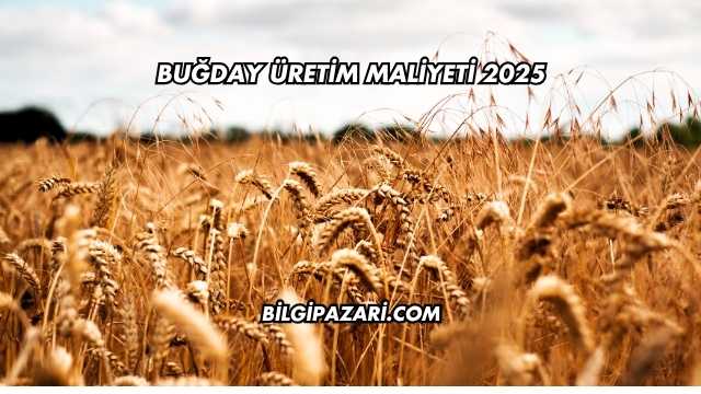 Buğday Üretim Maliyeti 2025