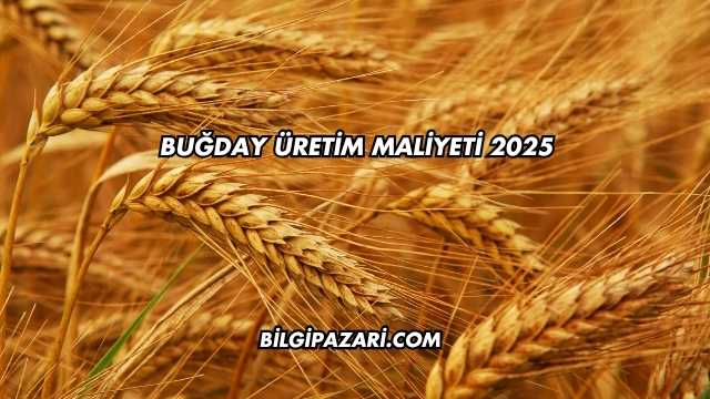 Buğday Üretim Maliyeti 2025