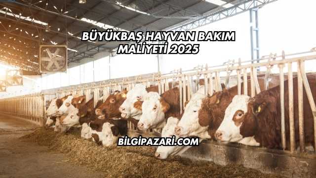 Büyükbaş Hayvan Bakım Maliyeti 2025
