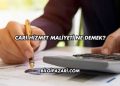 Cari Hizmet Maliyeti Ne Demek?