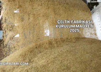 Çeltik Fabrikası Kurulum Maliyeti 2025