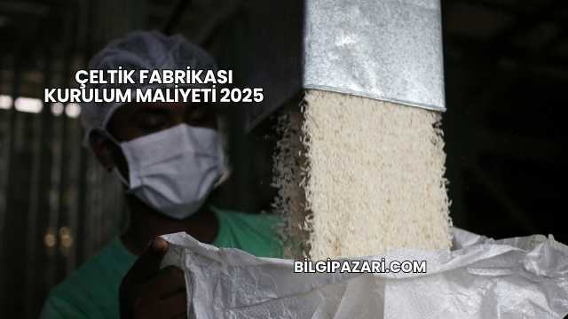 Çeltik Fabrikası Kurulum Maliyeti 2025