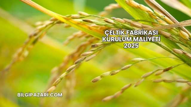Çeltik Fabrikası Kurulum Maliyeti 2025